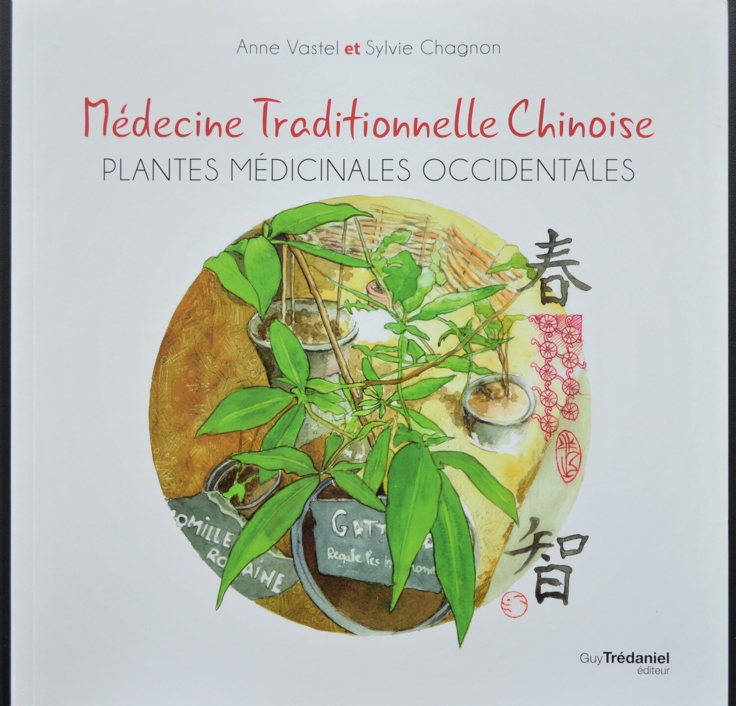 Médecine Traditionnelle Chinoise. Plantes médicinales occidentales