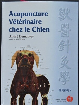 Acupuncture vétérinaire chez le chien