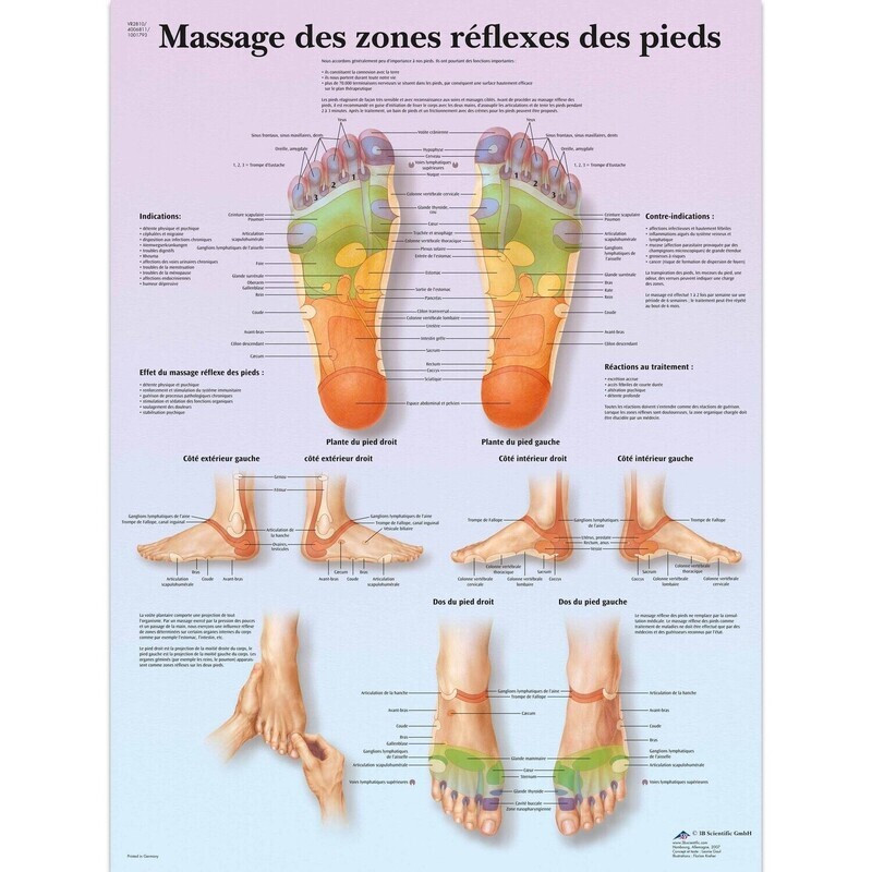 Le massage des zones réflexes des pieds, Planche, 20&quot;x26&quot;, (50 x 67 cm) Français