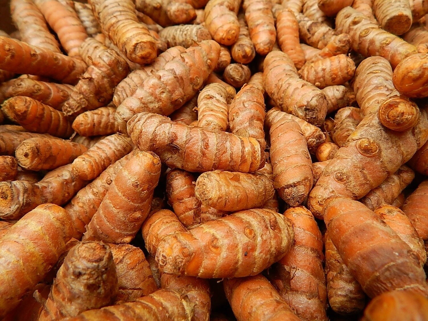 C.S. Curcuma, biologique Inde, Format: 5ml