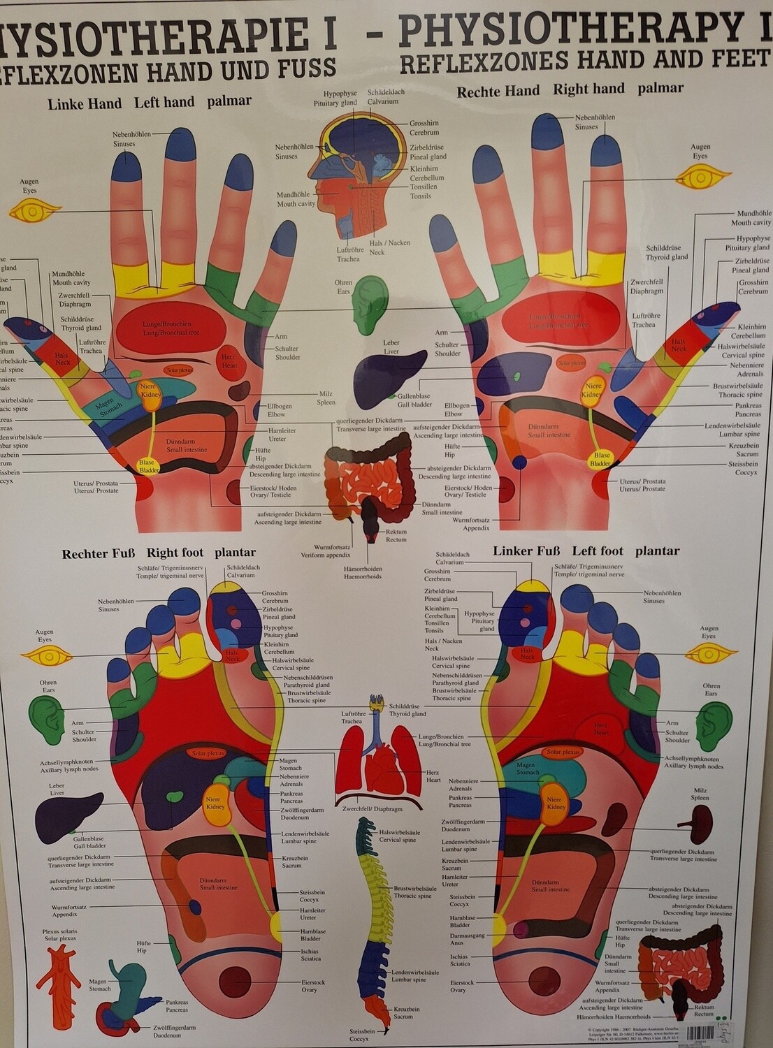Planche - Physiotherapy I - Reflexzones Hand and Feet