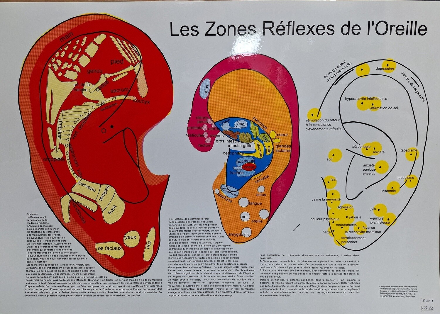 Planche - Les Zones Réflexes de l&#39;oreille