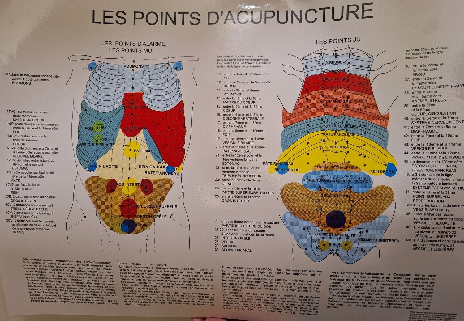 Planche - Les Points D&#39;acupuncture