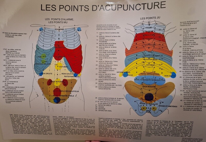 Planche - Les Points D&#39;acupuncture