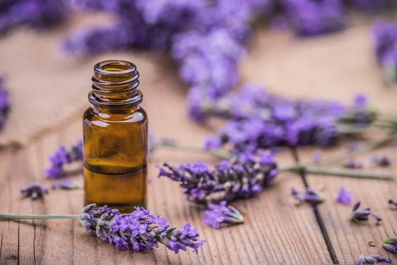 *Cours Initiation aux Huiles essentielles