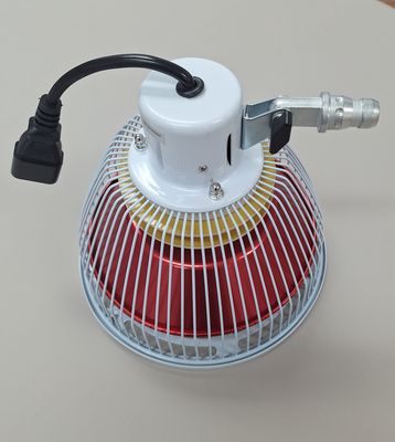 Tête de rechange pour lampe TDP CQ-29