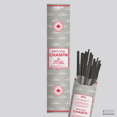 Bâtons d&#39;encens Champa, Sauge Blanche, pqt/20