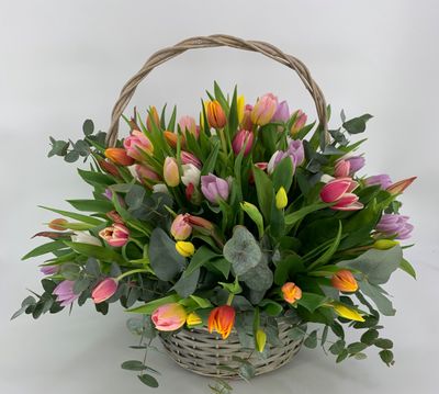 Tulips Basket