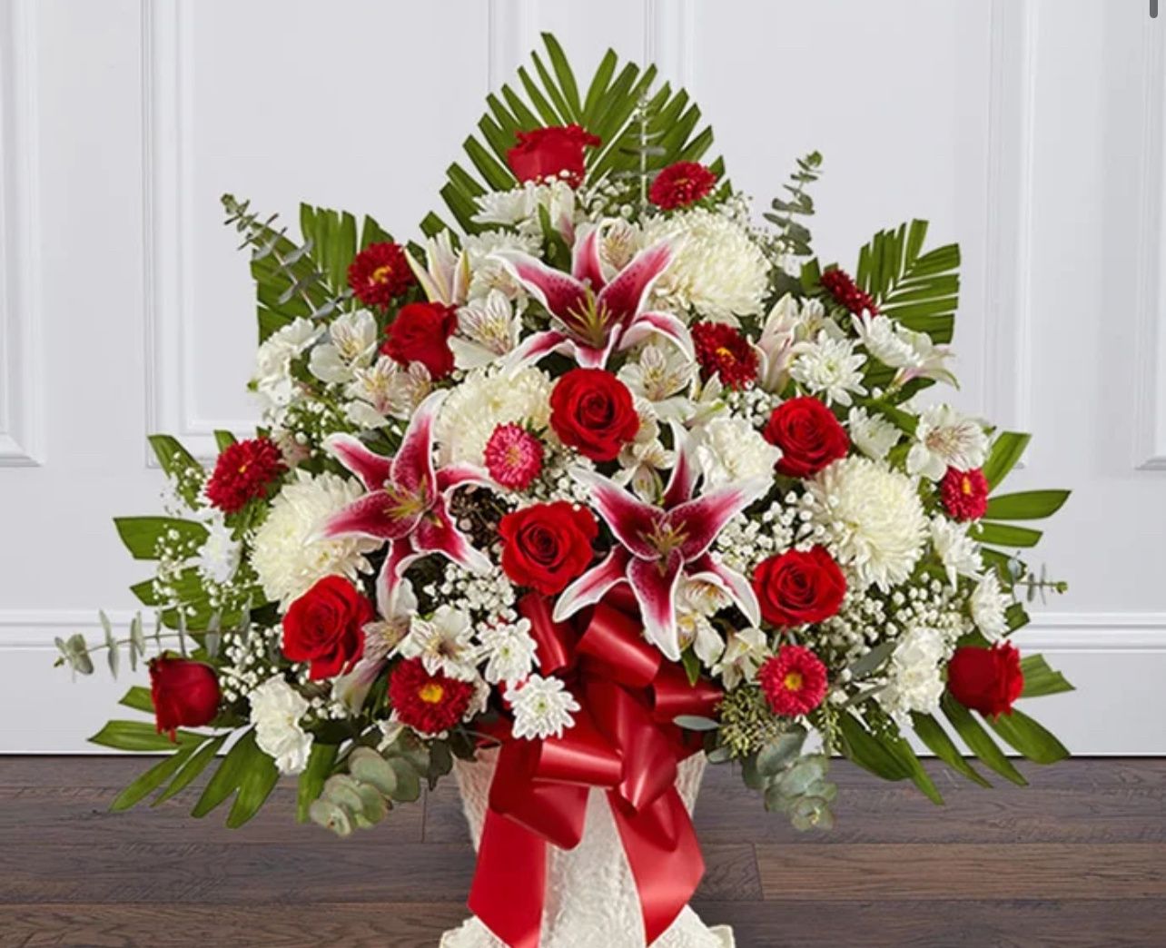 Bright Star Arrangement