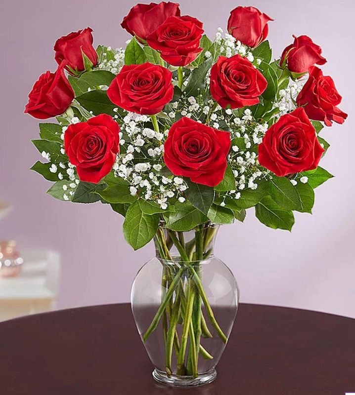 Half a Dozen or A Dozen Roses