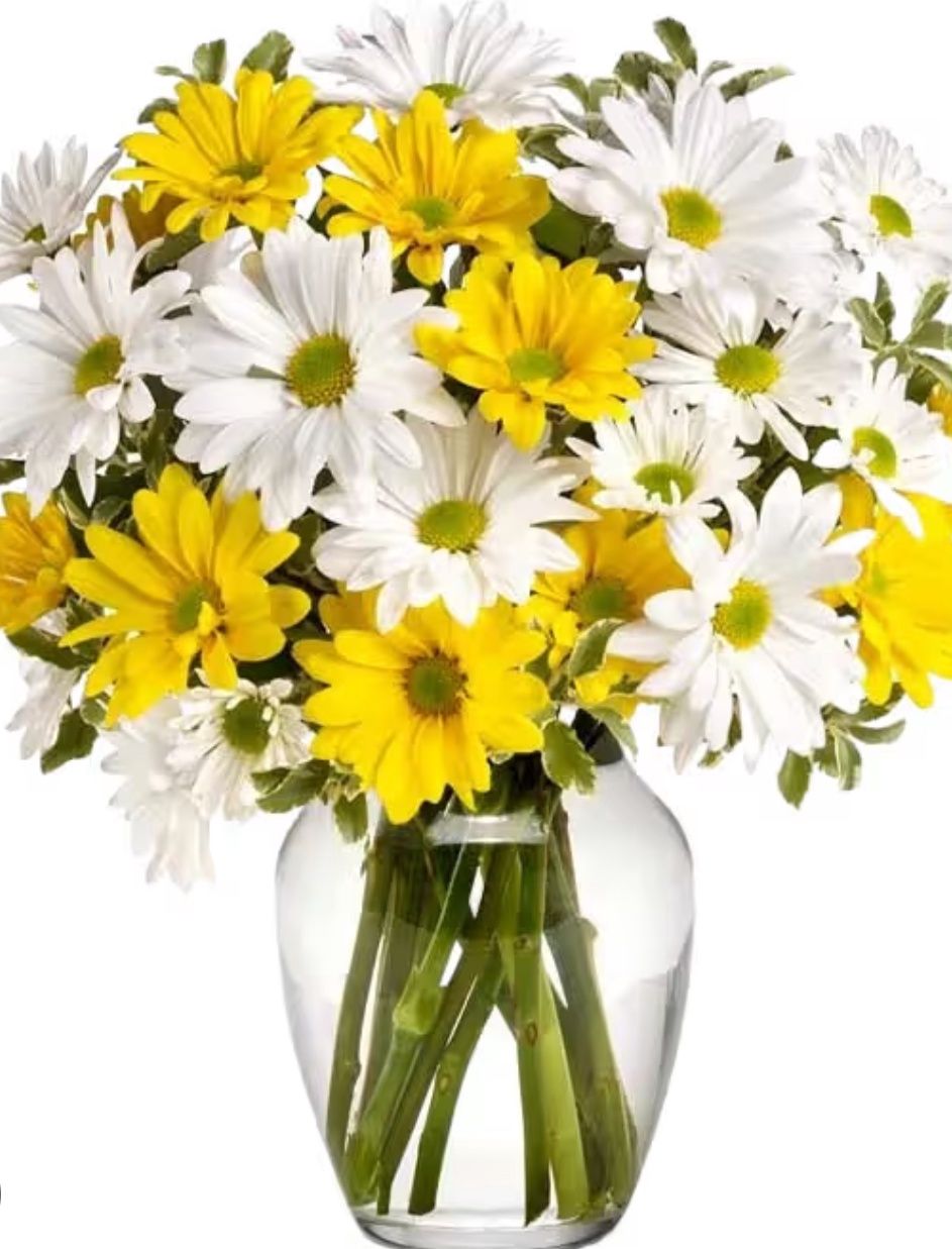 Dance With Me, Color: Yellow and white