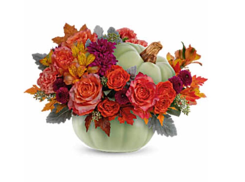 Sage Harvest Pumpkin