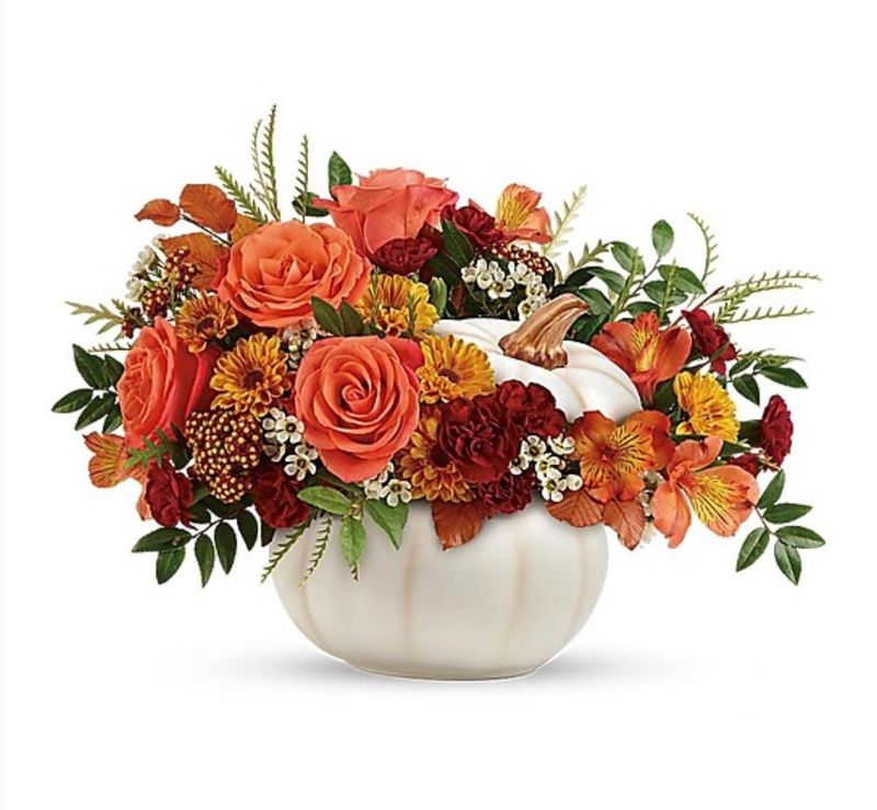 Enchanted Harvest Pumpkin