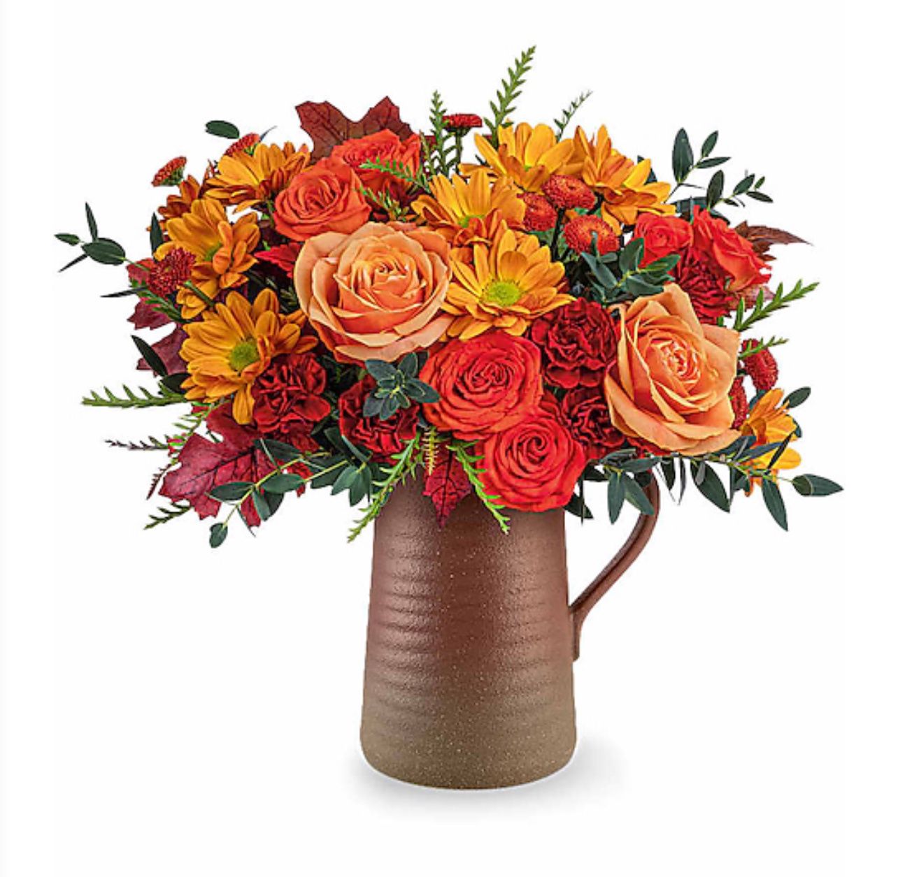 Terra Bloom Pitcher, Type: Standard