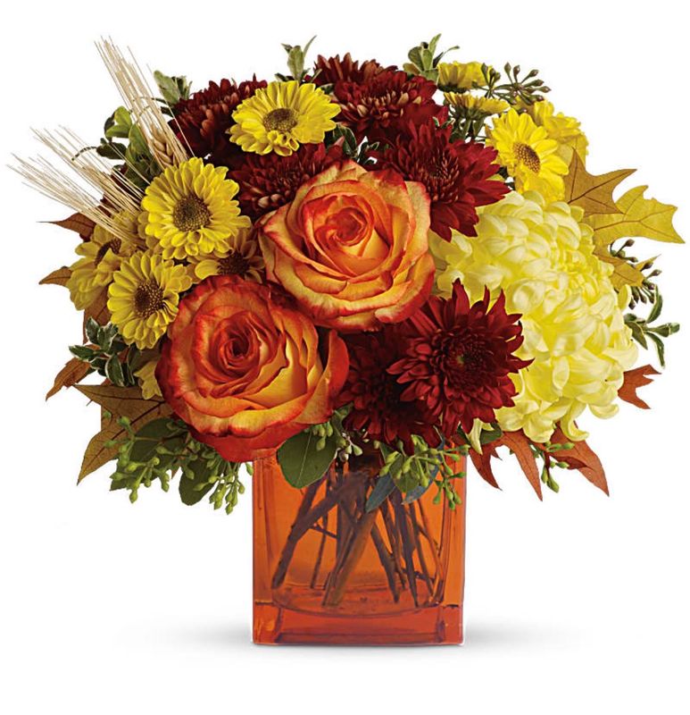 Fall Cube