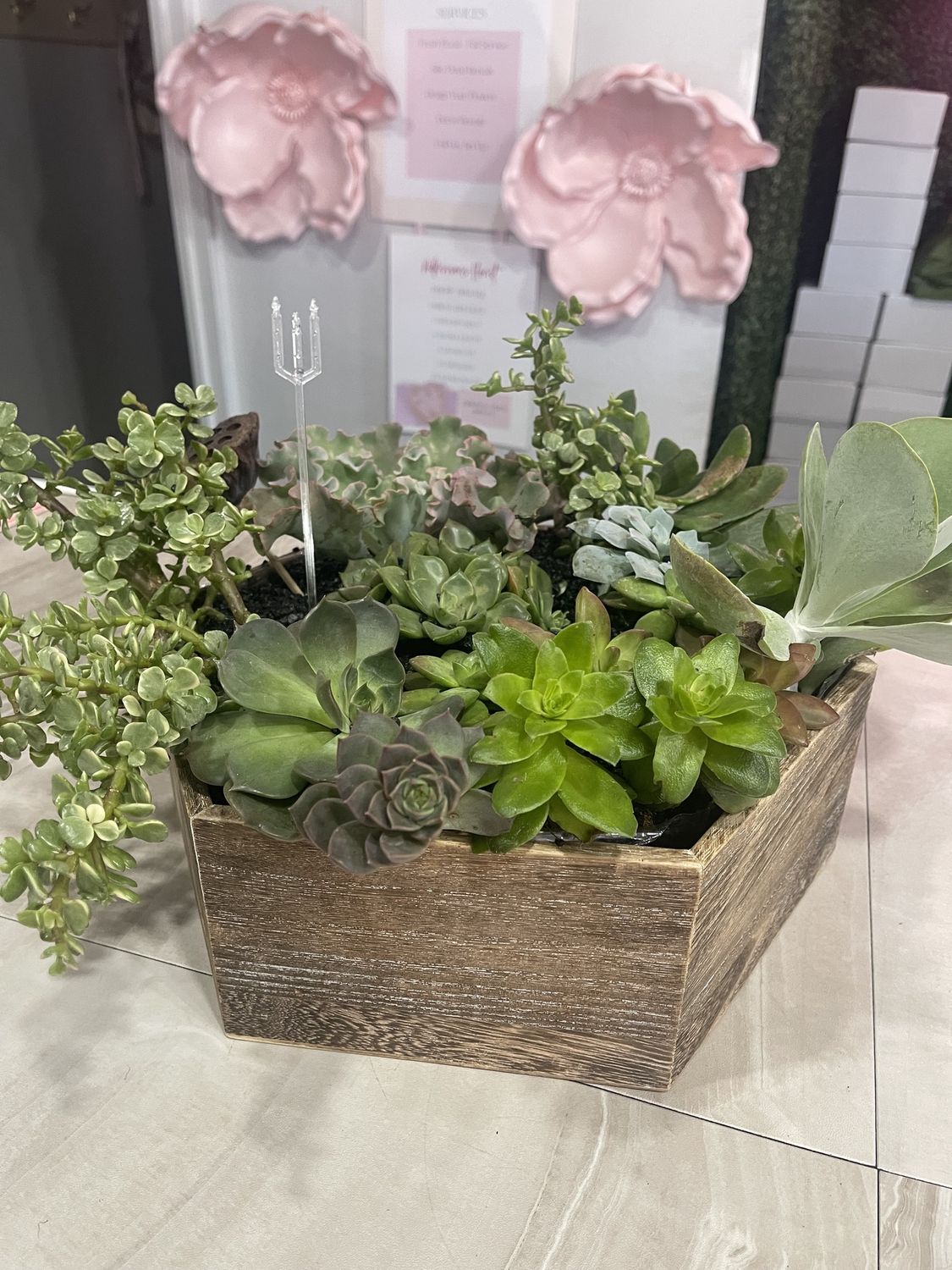 Succulent Hexagon Wooden Box  Dish Garden, Type: Large