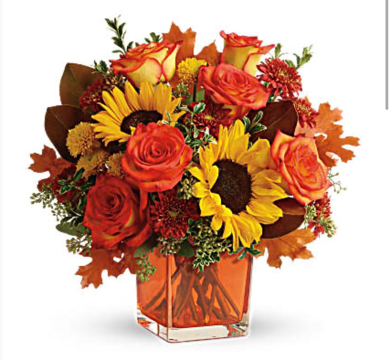 Hello Autumn, Type: Premium