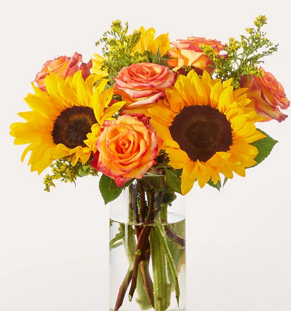 SunFlower Sunset (Pet Friendly)