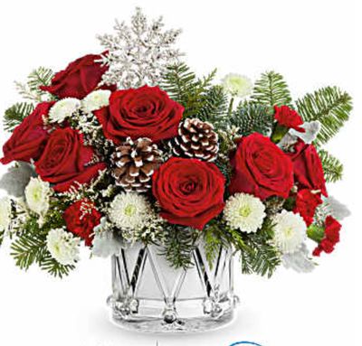 Christmas Flowers
