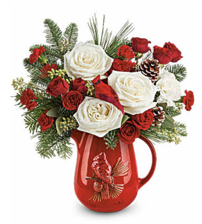 Scarlet Cardinal Pitcher