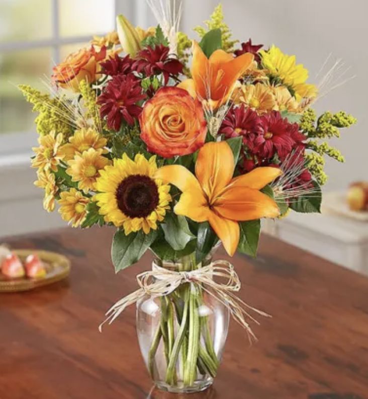 Fields of Europe for Fall