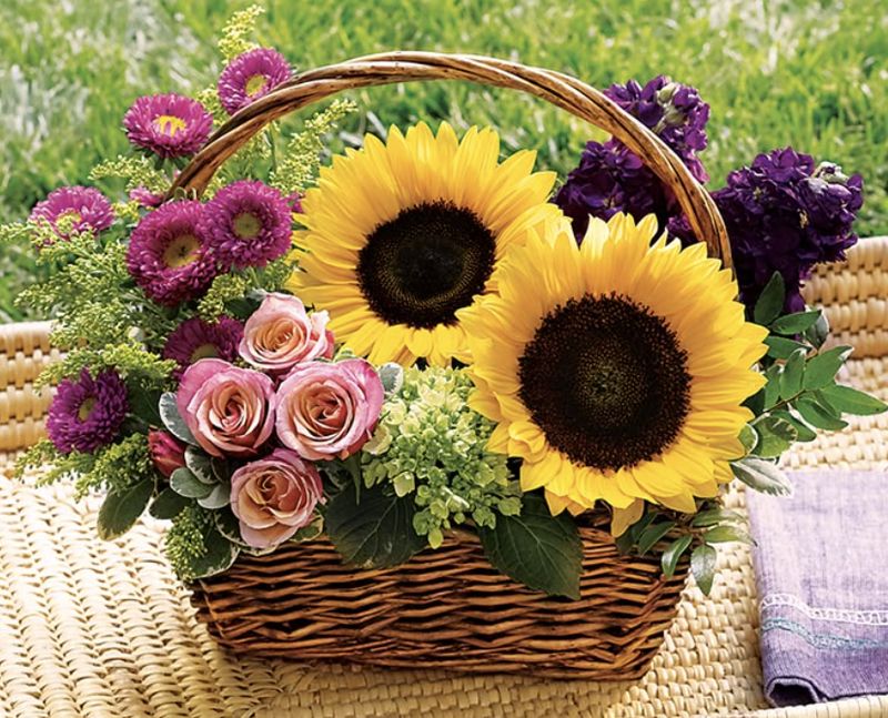 Picnic in the Park Basket