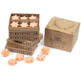 Box of 6 Luxury Wax Melts - Mango Fruits