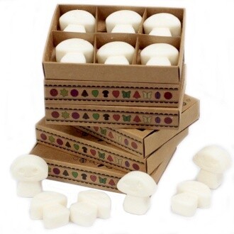 Box of 6 Luxury Wax Melts - White Musk