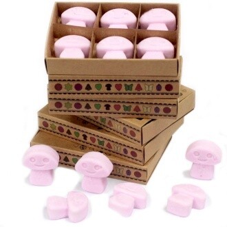 Box of 6 Luxury Wax Melts - Ylang Ylang