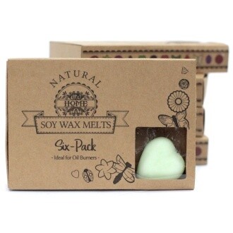 Box of 6 Luxury Wax Melts - Watermelon Fresh