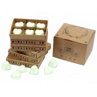Box of 6 Luxury Wax Melts - Mint & Menthol