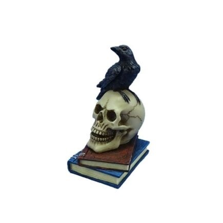 Crow Standing on Skull and Books