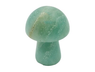 Amazonite 20mm Mushroom