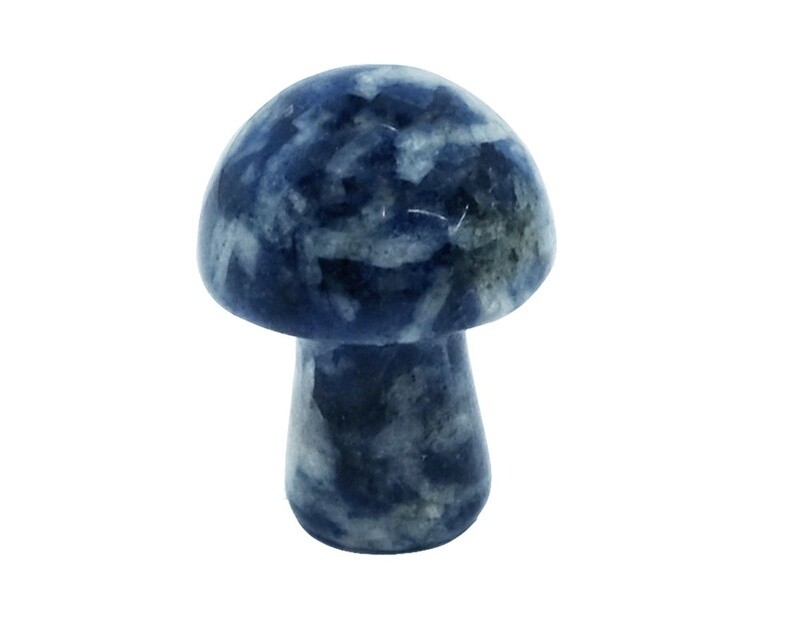 Spot Sodalite 20mm Mushroom