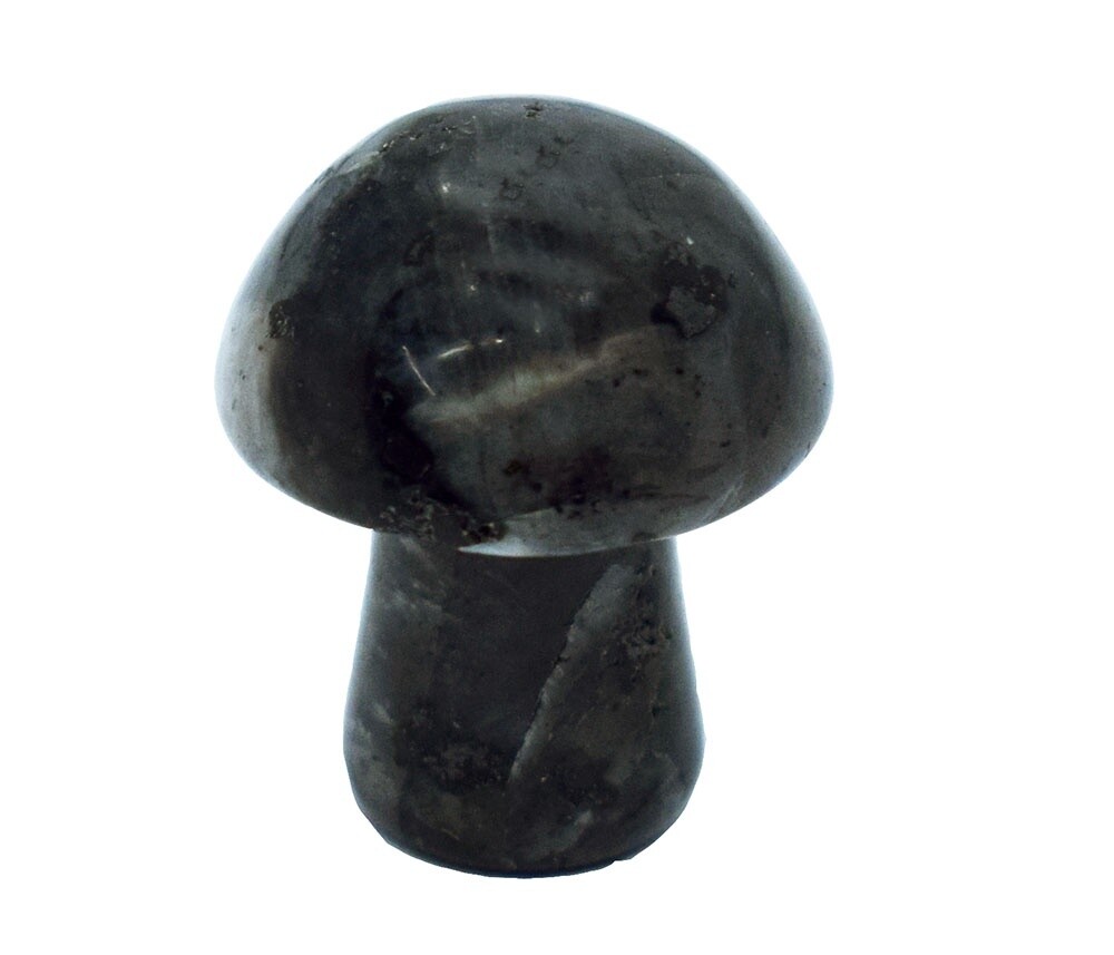 Larvikit 20mm Mushroom