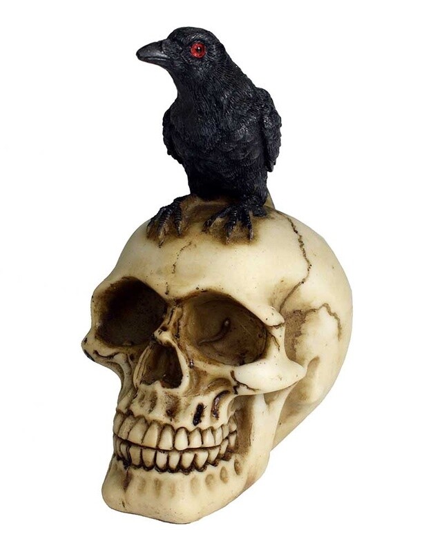 Crow On Skull