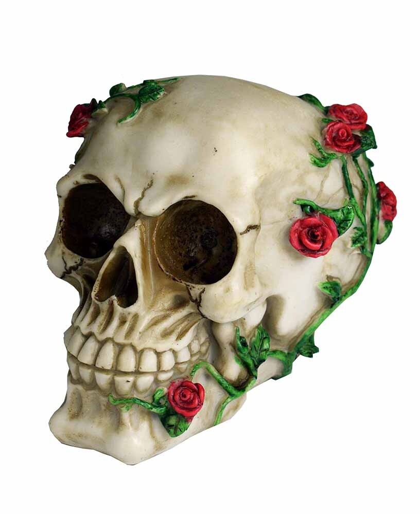 Skull With Rose