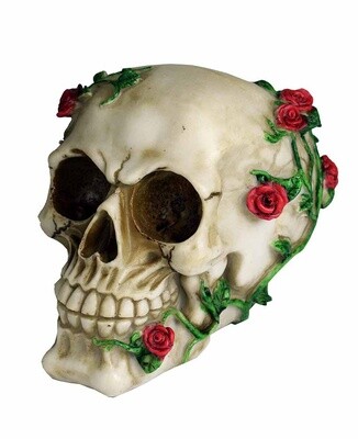 Skull With Rose