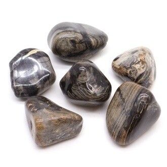 Jasper Silver Leaf Large Tumblestone