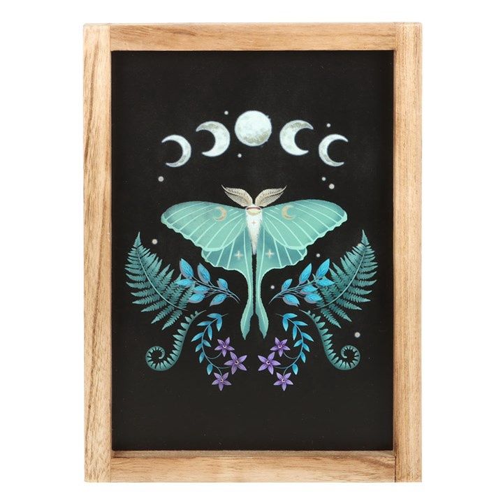 LUNA MOTH FRAMED WALL ART PRINT