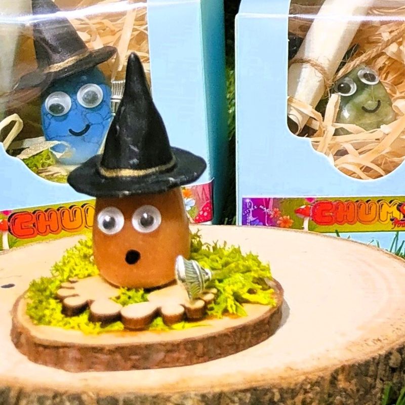 Chumstals Witchy