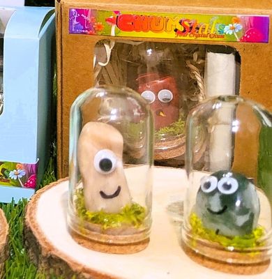 Chumstals Glass Dome