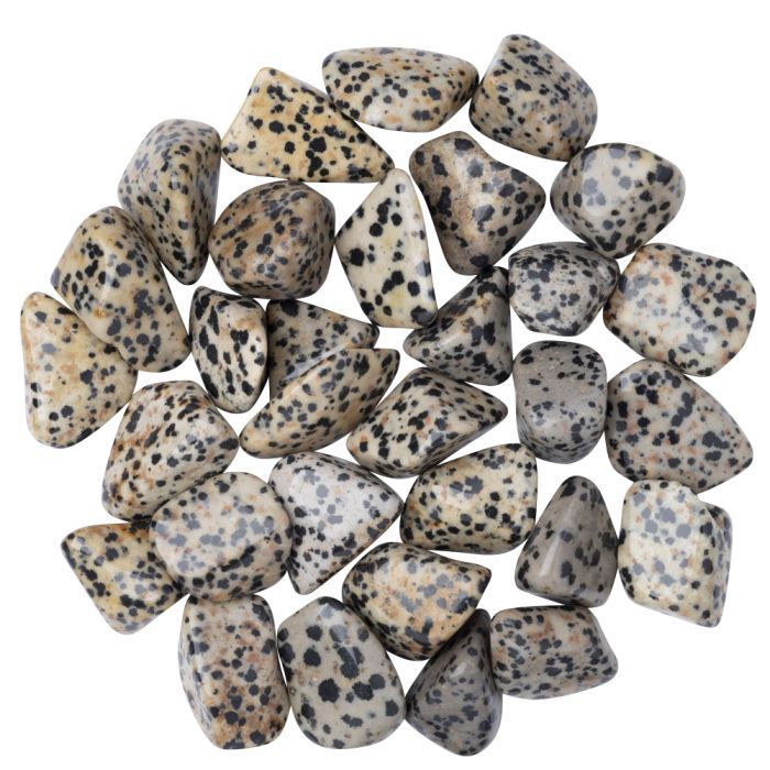 Dalmation Jasper Tumblestone