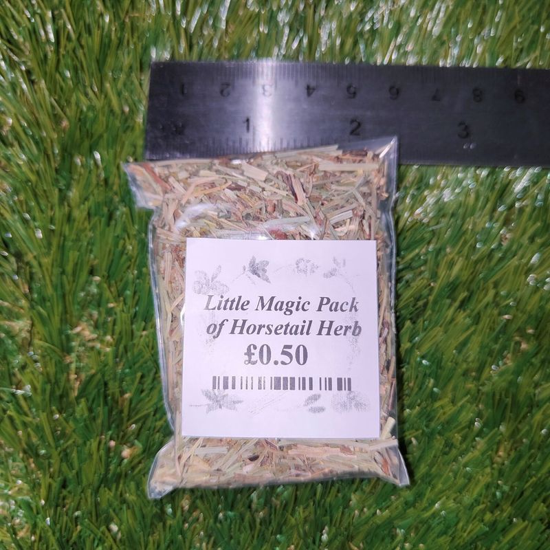 Little Magic Pack of Horsetail Herb