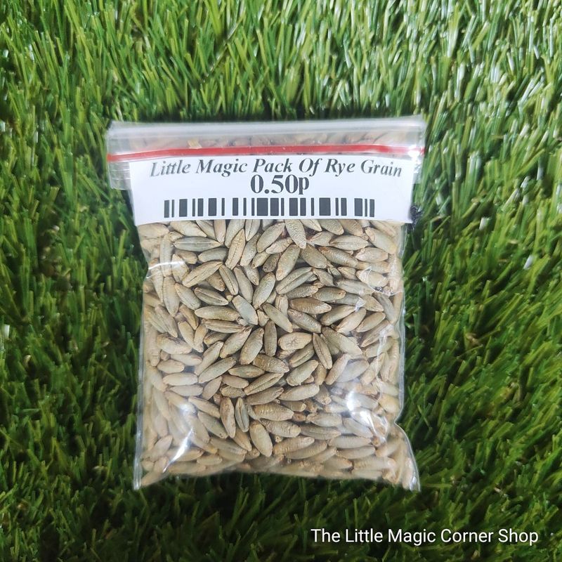 Little Magic Pack Of Rye Grain