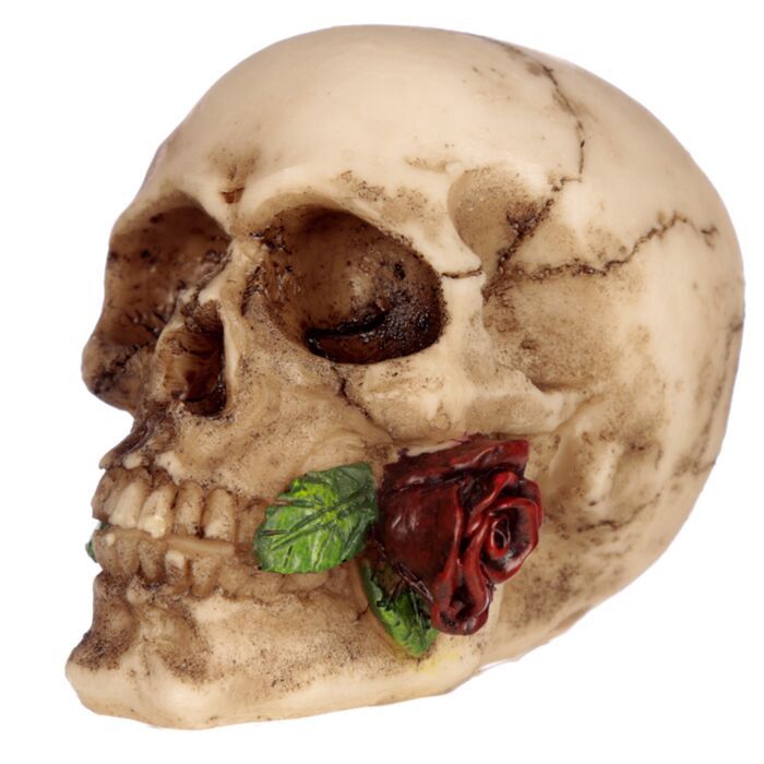 Skull with Rose in Teeth, Colour: Red