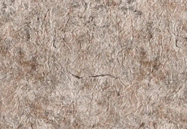 Taupe Venitien | 68 mil.