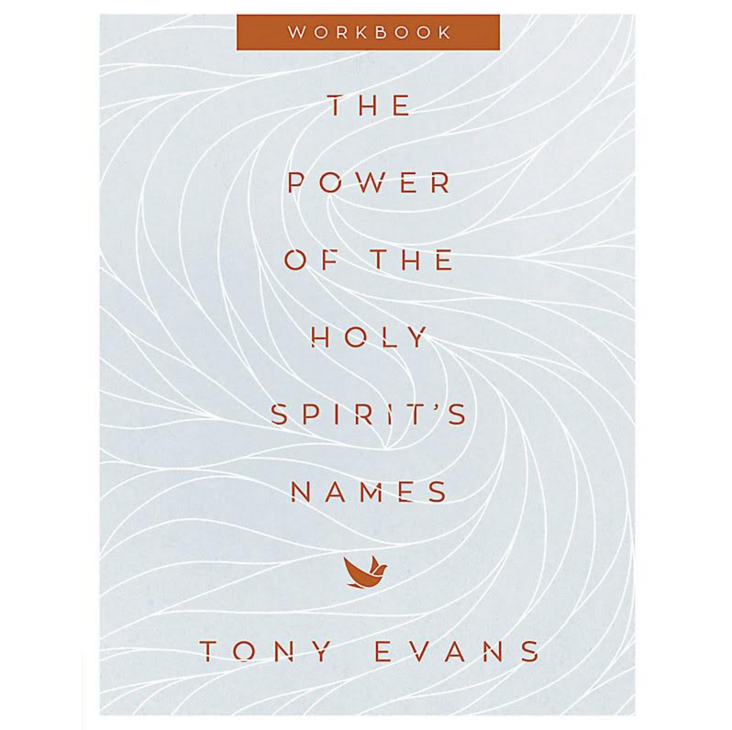 The Power of the Holy Spirit's Names Workbook