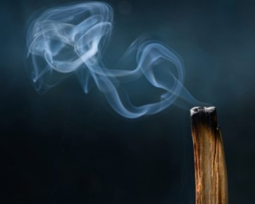 Palo Santo wood stick (single)(for Cleansing, Protection &amp; Calm)