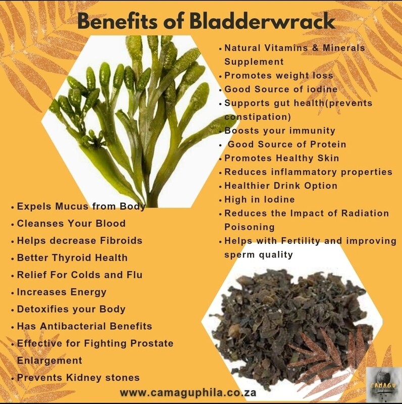 Bladderwrack 60 capsules 